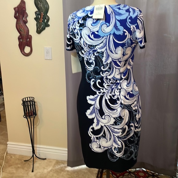 Feather Scroll Sheath - Picture 2 of 6